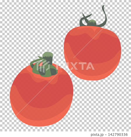 櫻桃番茄的插圖 櫻桃番茄的插圖 142790336