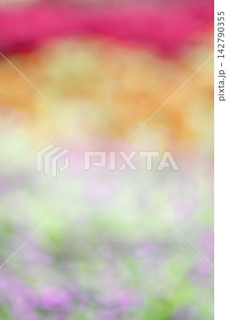 ピンボケ カラフル 花畑 秋 9月 写真素材 ピンボケ カラフル 花畑 秋 9月 写真素材 142790355