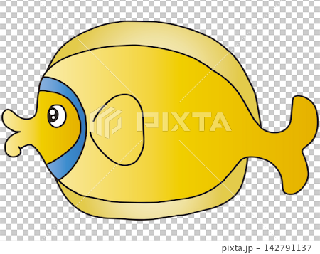 手書きお魚イラスト☆カラフルなサカナたち 手書きお魚イラスト☆カラフルなサカナたち 142791137