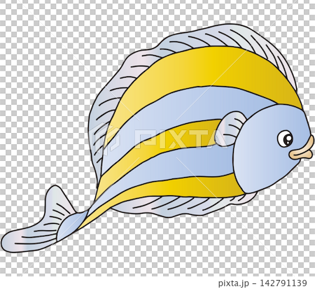 手繪魚類插圖 ☆ 色魚 手繪魚類插圖 ☆ 色魚 142791139