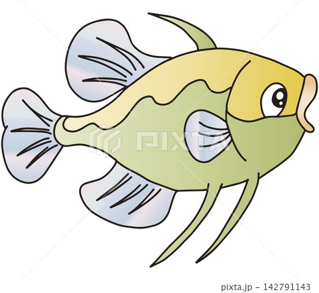 手書きお魚イラスト☆カラフルなサカナたち 手書きお魚イラスト☆カラフルなサカナたち 142791143
