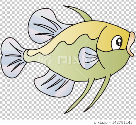 手書きお魚イラスト☆カラフルなサカナたち 手書きお魚イラスト☆カラフルなサカナたち 142791143