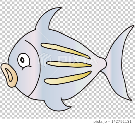 手書きお魚イラスト☆カラフルなサカナたち 142791151