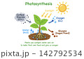 Educational illustration showing photosynthesis in plants, where sunlight, water, and carbon dioxide are used in a chemical reaction to produce glucose and release oxygen for biology learning. 142792534
