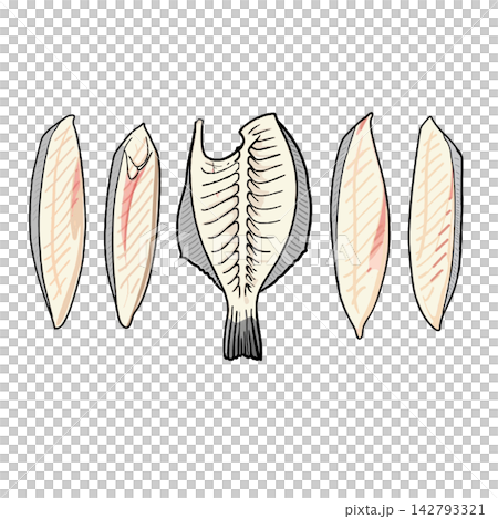 魚 魚 142793321