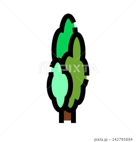 Evergreen cypress tree plant isolated icon illustration 142793884