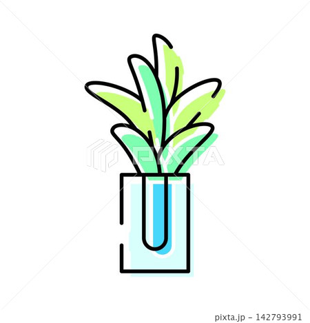 Houseplant with green leaves in a minimal pot 142793991