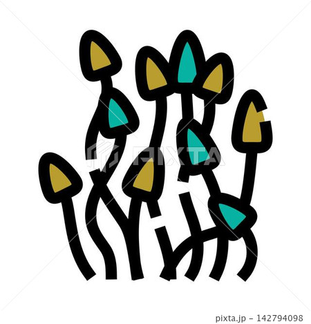 Abstract fungi cluster growing together in nature 142794098