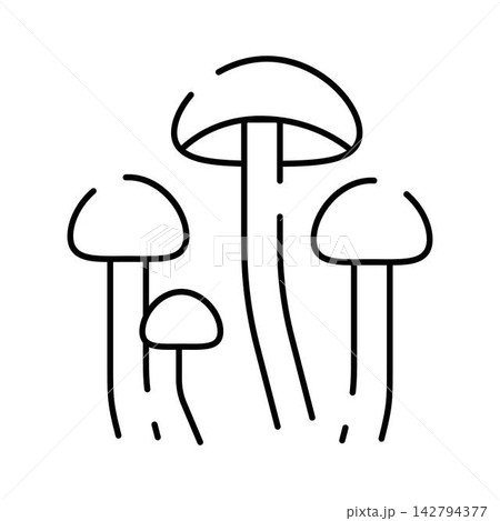 Mushrooms growing in line art outline icon style Mushrooms growing in line art outline icon style 142794377