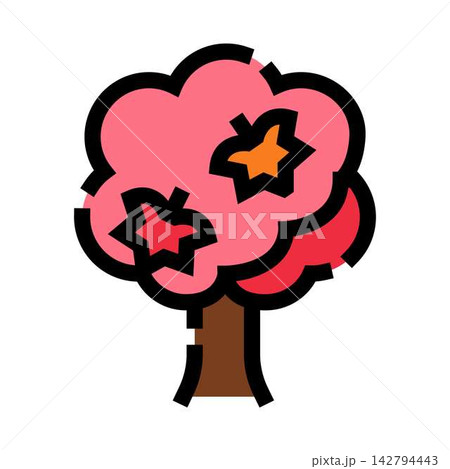 Pink flowering tree blossoming during spring season 142794443