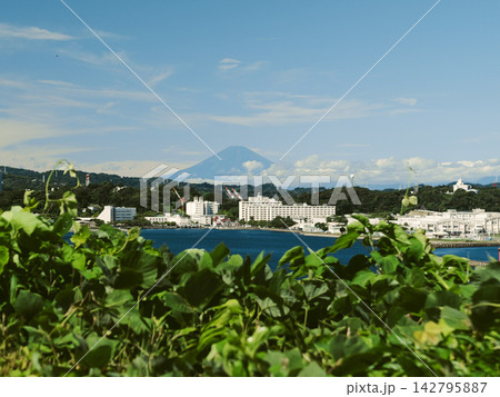 猿島から望む青空と海の絶景と遠くに佇む富士山 猿島から望む青空と海の絶景と遠くに佇む富士山 142795887