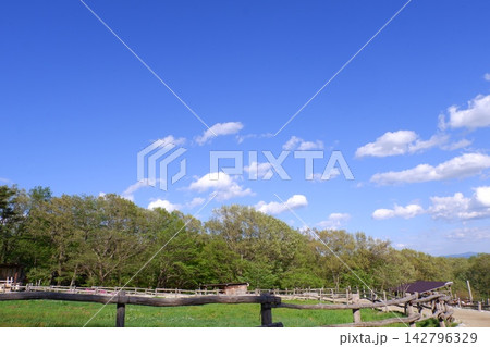 那須高原南ヶ丘牧場 那須高原南ヶ丘牧場 142796329