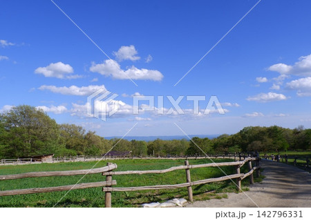 那須高原南ヶ丘牧場 那須高原南ヶ丘牧場 142796331