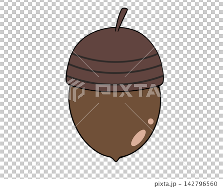 Simple acorn illustration material Simple acorn illustration material 142796560