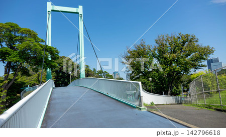 夏空と緑豊かな野毛山公園の芝生広場と歩道橋の風景（神奈川県横浜市中区） 142796618
