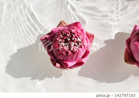 Thai-style folded pink lotus flowers floating in clear rippling water. 142797103