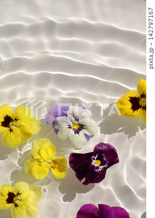 Colorful pansy flowers floating on clear rippling water 142797167