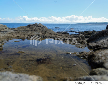 青空と海が広がる猿島の岩場と透明な潮溜まり 青空と海が広がる猿島の岩場と透明な潮溜まり 142797602