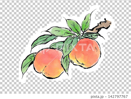 A picture postcard-style illustration of a peach tree. 142797767