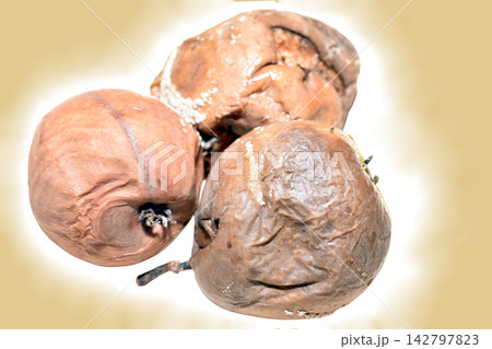 Overripe, shriveled, and rotting pears. Overripe, shriveled, and rotting pears. 142797823