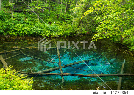 神の子池 神の子池 142798642