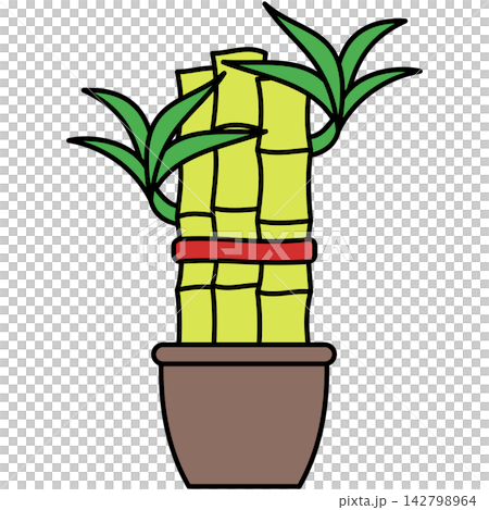 Flat style icon illustration of lucky bamboo plant in pot isolated on transparent background. Colorful graphic design element clip art for Spring Festival assets. 142798964