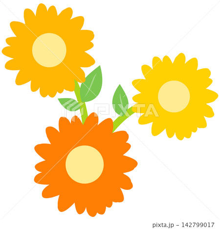 Flat style icon illustration of yellow orange flowers with green leaves isolated on transparent background. Colorful graphic design element clip art for wedding invitation letter assets. Flat style icon illustration of yellow orange flowers with green leaves isolated on transparent background. Colorful graphic design element clip art for wedding invitation letter assets. 142799017
