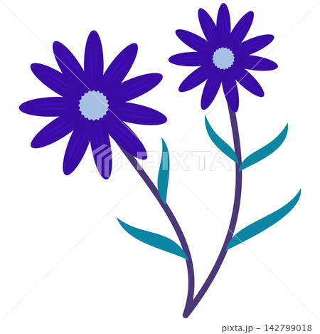 Flat style icon illustration of blue flowers on dark purple stem isolated on transparent background. Colorful graphic design element clip art for greeting card envelope assets. 142799018