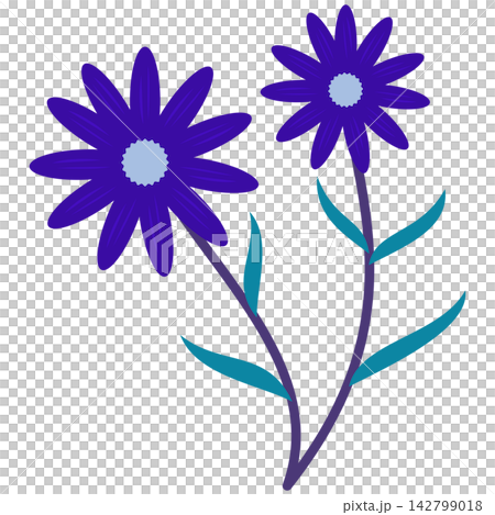 Flat style icon illustration of blue flowers on dark purple stem isolated on transparent background. Colorful graphic design element clip art for greeting card envelope assets. 142799018