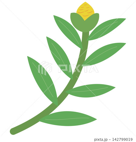 Flat style icon illustration of green leaf stem with yellow flower bud isolated on transparent background. Colorful graphic design element clip art for stationery letter assets. Flat style icon illustration of green leaf stem with yellow flower bud isolated on transparent background. Colorful graphic design element clip art for stationery letter assets. 142799019