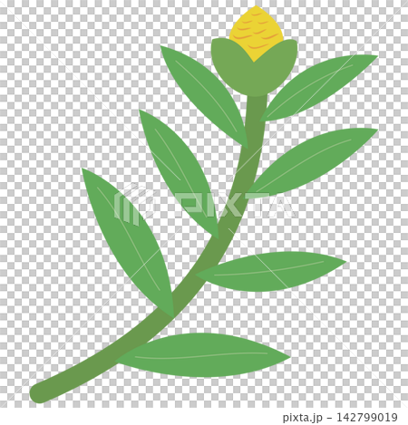 Flat style icon illustration of green leaf stem with yellow flower bud isolated on transparent background. Colorful graphic design element clip art for stationery letter assets. Flat style icon illustration of green leaf stem with yellow flower bud isolated on transparent background. Colorful graphic design element clip art for stationery letter assets. 142799019