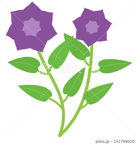 Flat style icon illustration of purple star flowers on green leaf stem isolated on transparent background. Colorful graphic design element clip art for card envelope assets. Flat style icon illustration of purple star flowers on green leaf stem isolated on transparent background. Colorful graphic design element clip art for card envelope assets. 142799020