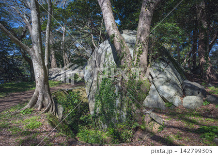 山口 萩城 要害跡の巨岩 山口 萩城 要害跡の巨岩 142799305