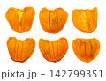 Set of dried persimmons isolated on a white background. Top view 142799351