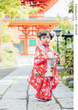 神社で七五三のお参りをする着物姿の女の子 神社で七五三のお参りをする着物姿の女の子 142799901