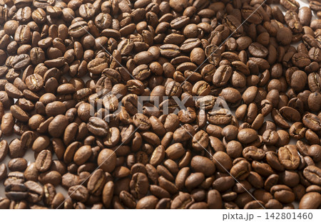 coffee bean texture 142801460