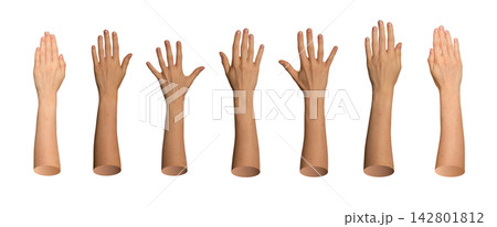 Set of tanned arms raised vertically displaying five fingers open. Natural skin posture for high 142801812