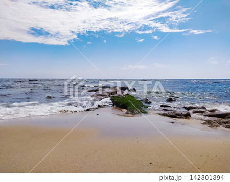 A serene sandy beach with gentle ocean waves washing over mossy coastal rocks under a bright blue sky. Nobody in sight, evoking a sense of peaceful solitude and natural beauty. 142801894