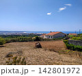 Enjoy tranquility with this scenic view of a rural house overlooking the blue ocean on a sunny day. A peaceful country landscape perfect for travel concepts. Nobody is in the scene. 142801972