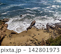 A serene highangle view of powerful ocean waves crashing onto a rocky sandy beach, evoking feelings of freedom, energy, and peaceful solitude. Great for travel concepts. Nobody. 142801973