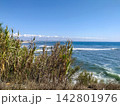 A peaceful coastal view under a bright blue sky, with wild green reeds framing the beautiful ocean waves on a sunny day. This serene landscape offers a sense of ultimate escape. Nobody. 142801976