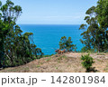 Breathtaking coastal vista of the deep blue ocean framed by vibrant green trees under a clear sunny sky. This serene, natural landscape with nobody evokes peace and freedom. 142801984