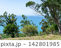 A serene ocean view framed by lush green trees on a sunny hillside evokes tranquility and freedom. A perfect summer nature landscape with nobody, ideal for travel and wellness. 142801985