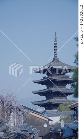 春の京都・桜と八坂の塔が見える東山の伝統的な街並み 142802012