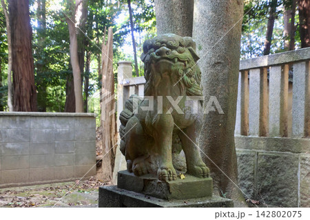 厨子神社・みずしじんじゃ・狛犬(奈良県・橿原市) 厨子神社・みずしじんじゃ・狛犬(奈良県・橿原市) 142802075