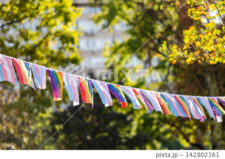 Rainbow Pride Bunting Decoration in Outdoor Park Rainbow Pride Bunting Decoration in Outdoor Park 142802161