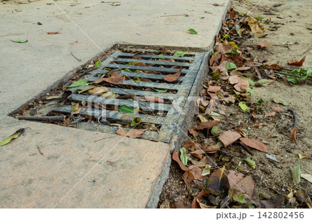 Metal drainage grate clogged with dry autumn leaves on concrete ground 142802456