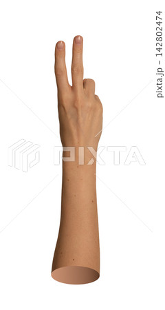 Tanned right hand raised vertically displaying victory V sign. Natural skin arm posture showing Tanned right hand raised vertically displaying victory V sign. Natural skin arm posture showing 142802474