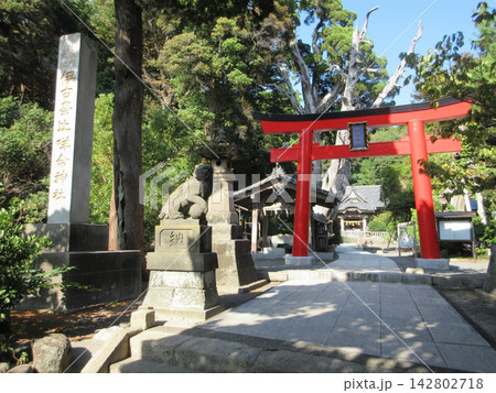 白浜神社の鳥居と社号標!静岡県下田市 白浜神社の鳥居と社号標!静岡県下田市 142802718