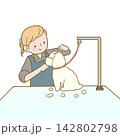 女性のトリマーがハサミで犬の毛をカット中のイラスト 142802798